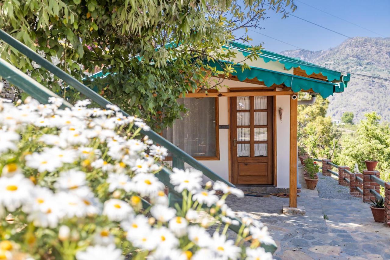 Seclude Ramgarh Willows Exterior foto